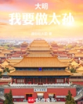 我是大明皇太孙小说