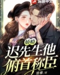 迟娇的小说