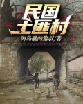 民国土匪村小说