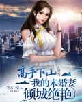 高手下山:我的未婚妻倾城绝艳小说