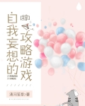 自我妄想的攻略游戏