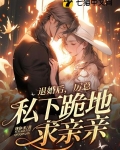 厉总离婚后 他后悔了历铭寒沈微