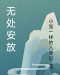 无处安放汪峰