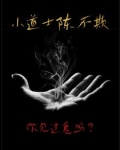 小道士陈不欺 智能小说网