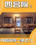 四合院:开局获得一象之力第一章