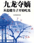 九龙夺嫡穿越小说