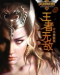 英雄联盟之王者无敌小说
