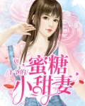 爷的蜜宠甜妻