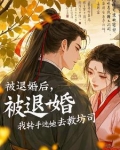 大明伪君子小说TXT下载