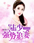 陆少的天价宠妻