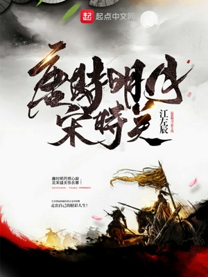 唐时明月宋时关小说免费读