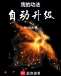 我的功法自动升级小说