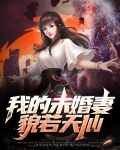 我的未婚妻 小说