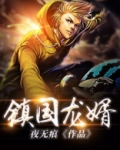 镇国龙婿剧情介绍