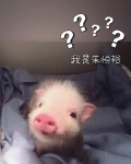 朱恒是什么电视剧
