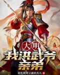 大明洪武小说