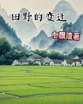 田野的变化