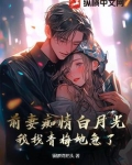 免费阅读前妻