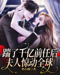 踹了千亿前任后,夫人惊动全球