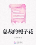 总裁的免费阅读全文