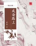 成渝高铁线路图