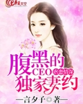 虐心腹黑总裁文小说推荐