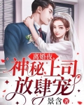 新婚夜神秘上司放肆宠小说