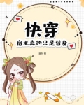 快穿宿主真的只是替身21章图片大全