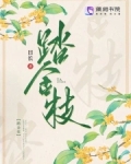 踏金枝全文免费阅读正版