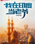 我在印度当老爷免费阅读