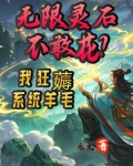 无限灵石不敢花?我狂薅系统羊毛