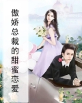 傲娇总裁甜蜜宠