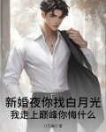 新婚夜你找白月光,我走上巅峰你悔什么