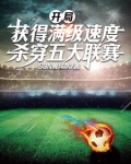开局获得满级速度,杀穿五大联赛的小说