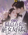 流产夜,陆总在陪前女友住院小说