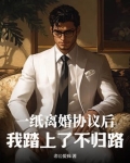 一纸离婚协议书小说