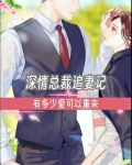 深情款款,总裁宠上瘾