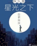 星光之下(娱乐圈)