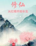 修仙穿越到红楼