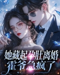 她藏起孕肚远走小说