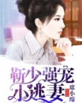 靳少强宠小逃妻