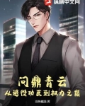 问鼎青云:从退役功臣到权力之巅