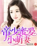 帝少蜜宠小萌妻免费版
