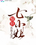 惊狂七小姐