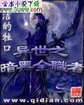 异界之暗黑全职者 小说