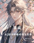 华娱从2016开始的顶流影帝的小说