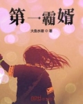 第一霸婿作者明月清风