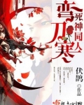 动漫死神里的刀