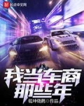 我当夜车司机那几年小说