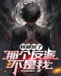 我都说了那个反派不是我